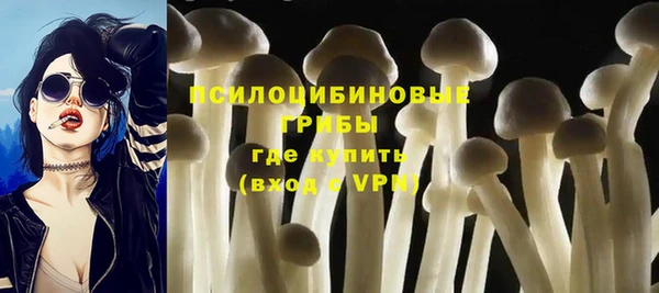 спиды Верея
